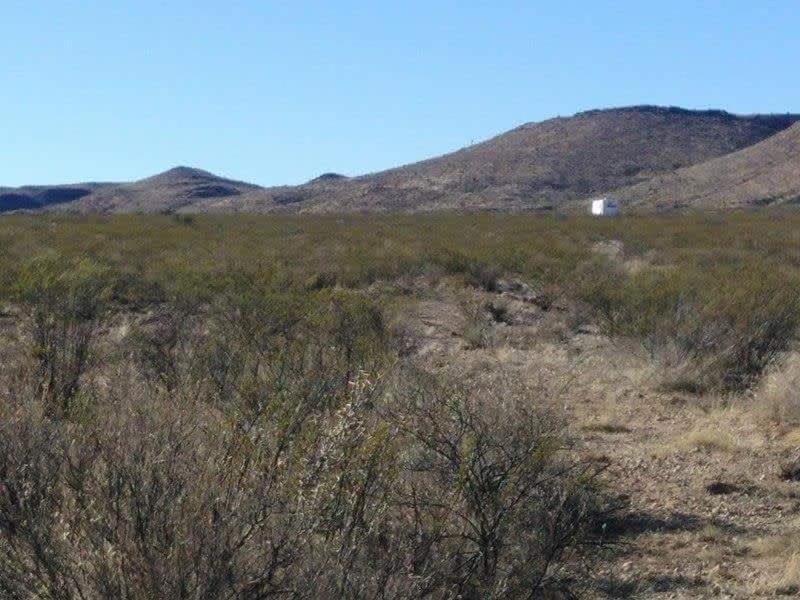 Camping At Desert Gardens Oasis In Lobo, Tx Van Horn Esterno foto